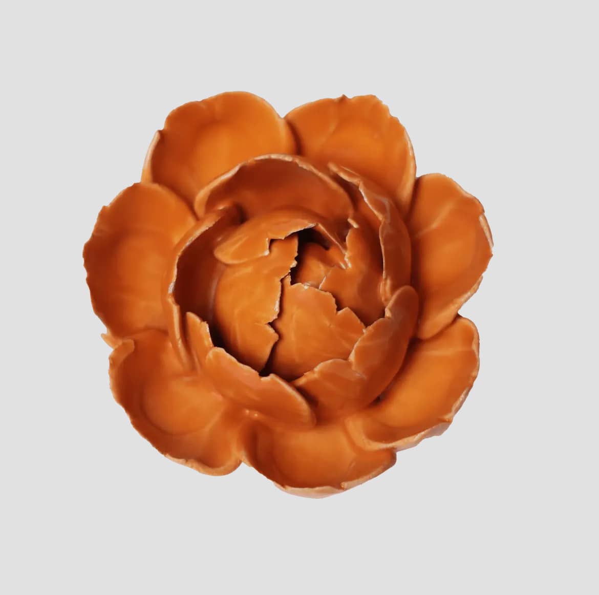 Orange pæon