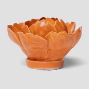 Alternative view of Orange pæon
