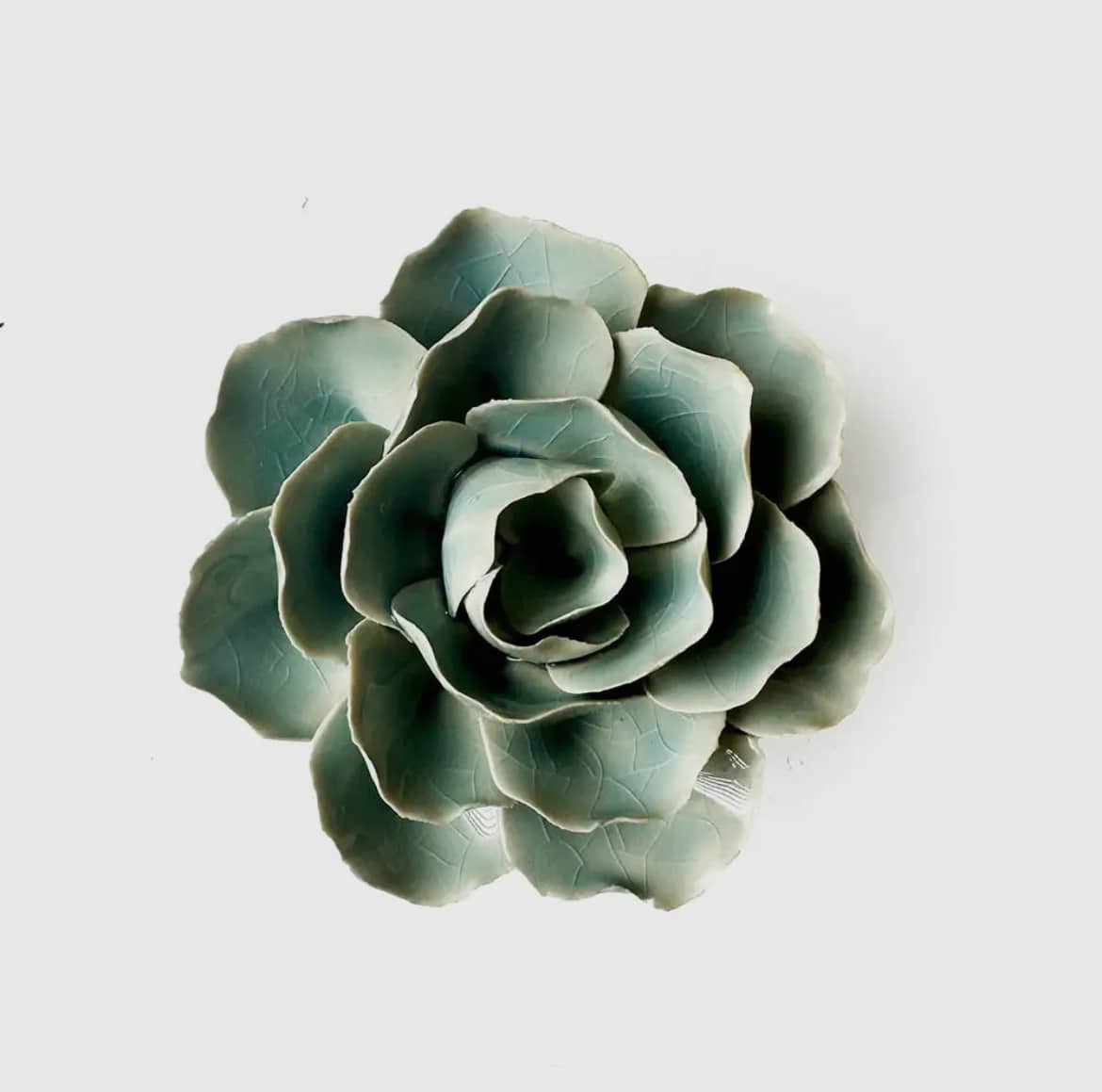 Teal Ranunkel